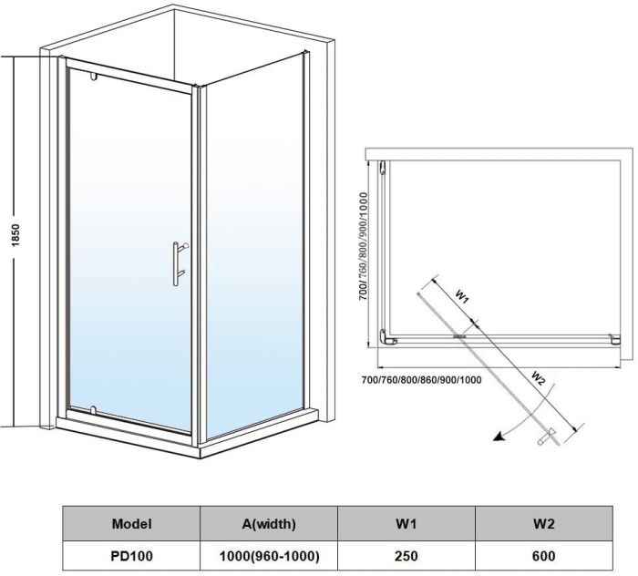 NILE 1000mm Pivot Hinged Shower Door 6mm Tempered Glass Swing Door