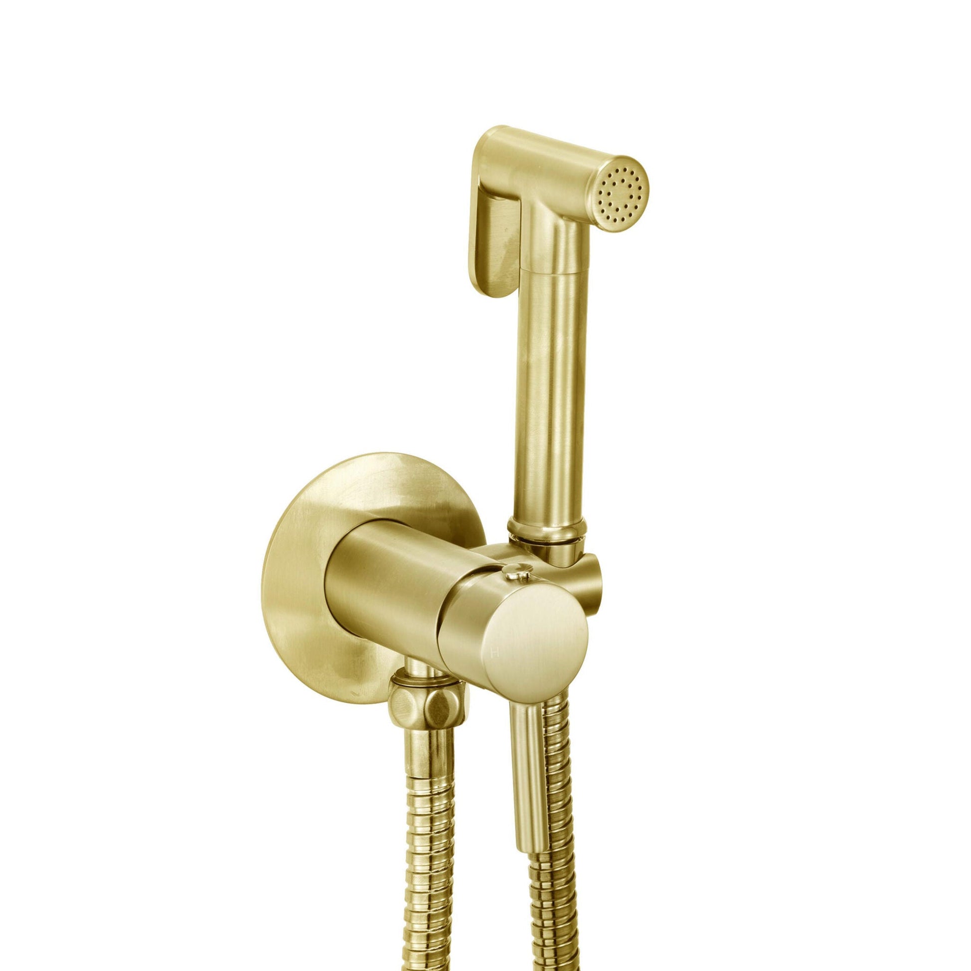 LEGACY Douche Handset, Flexi, Holder and Outlet Elbow Brushed Brass